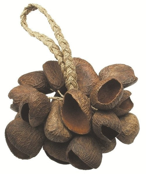 Toca Seed Shell Shaker T-SS