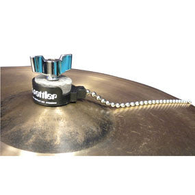 This is a picture of a ProMark Cymbal Rattler